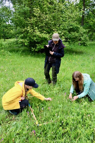 Taimeruudus nähtav liigiline mitmekesisus aitab anda hinnangu koosluse ja piirkonna seisundi kohta. Pildil (vasakult) Marianne Kivastik, Tsipe Aavik ja Iris Reinula.