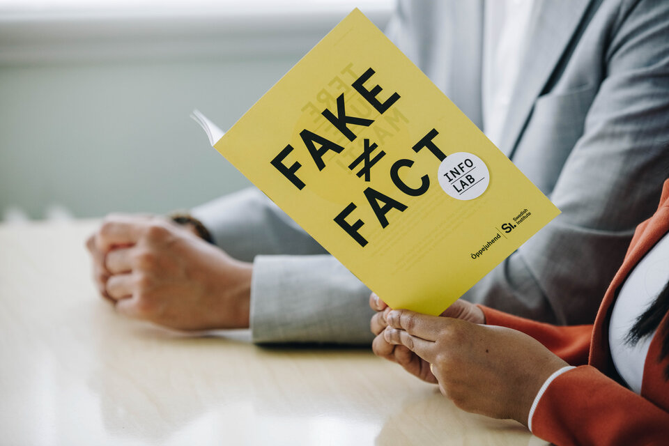 Disinformation and Societal Resilience