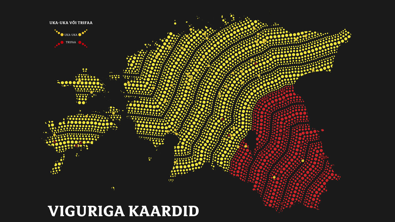 "Viguriga kaardid" raamatu kaas
