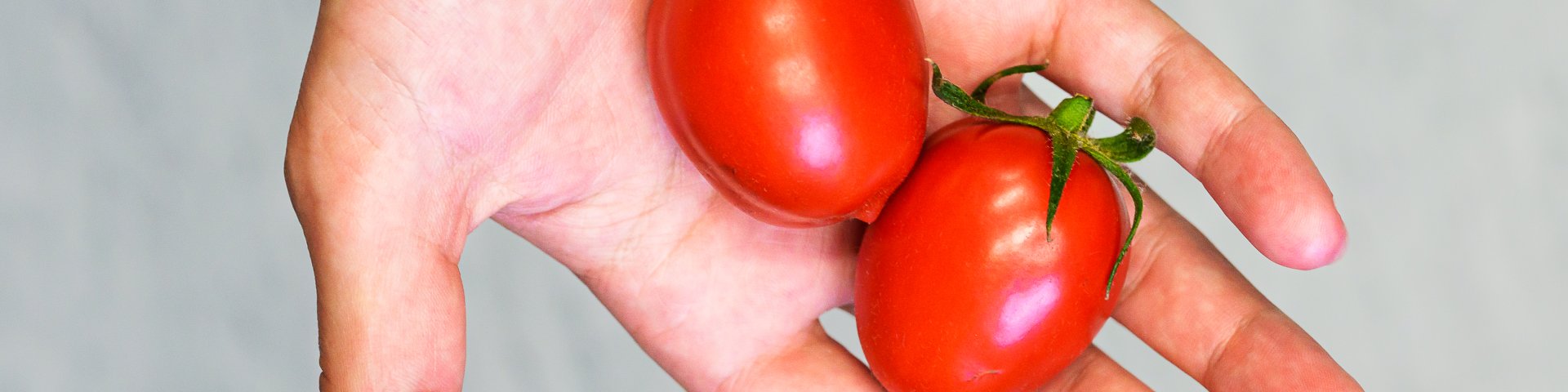 tomatid 