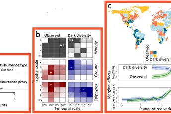 Approaches to explore observed and dark diversity in study areas of various spatial scales.